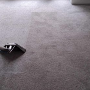 carpet2