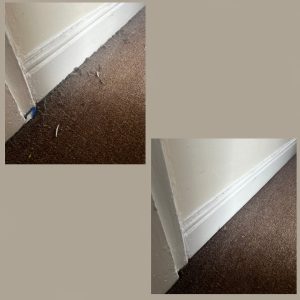 Carpet Cleaning Services in Cheshire